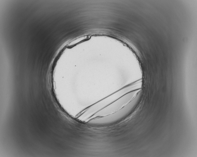 X0000111661075200908281105