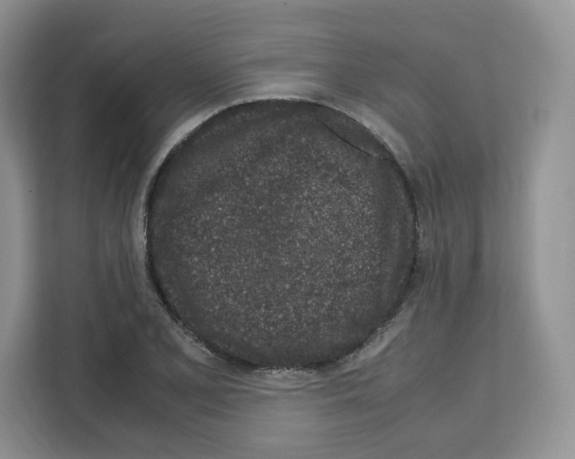 X0000111661077200908281105