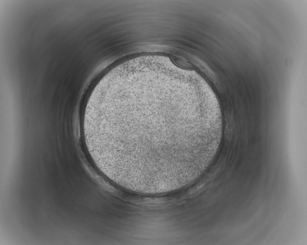 X0000111661080200908281105