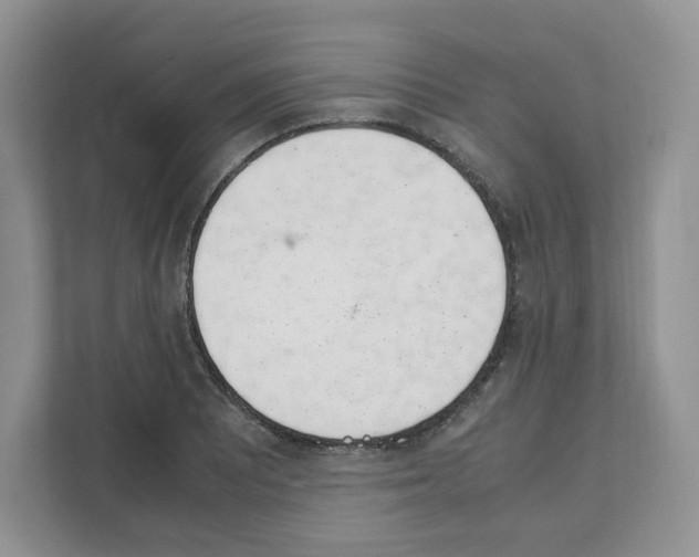 X0000111661081200908281105