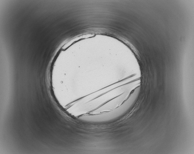 X0000111661083200908281104