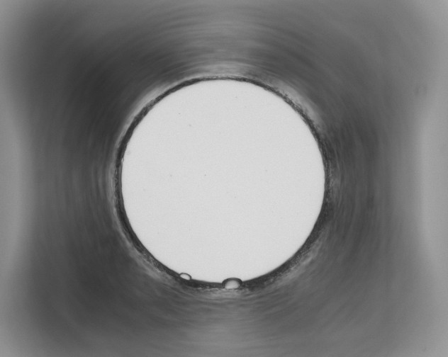 X0000111661085200908281104