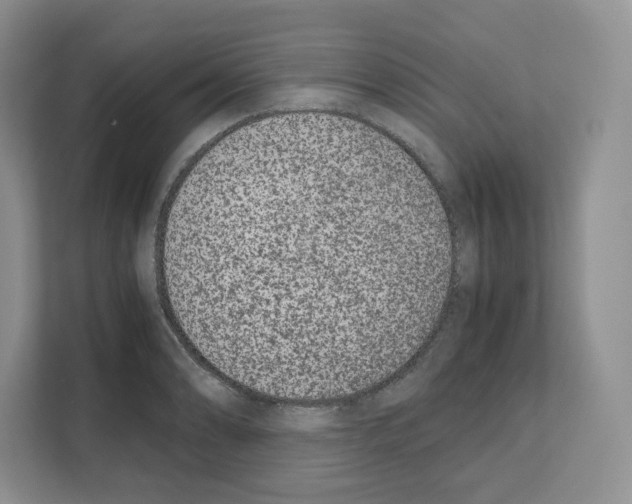 X0000111661086200908281104