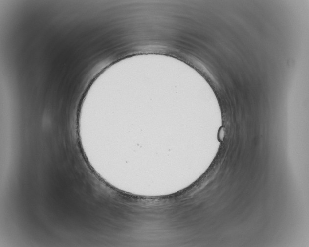 X0000111661087200908281104