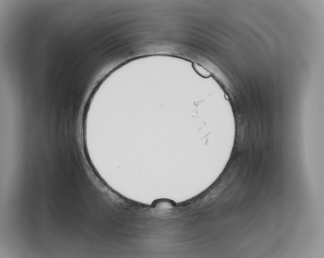 X0000111661088200908281104