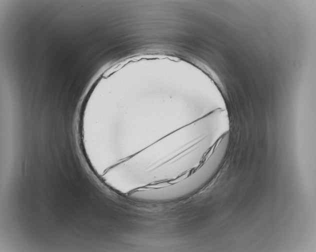 X0000111661091200908281104