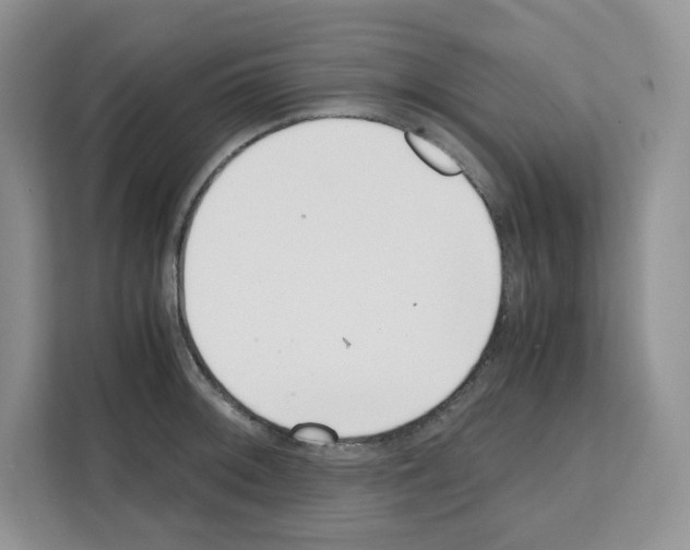 X0000111661092200908281104