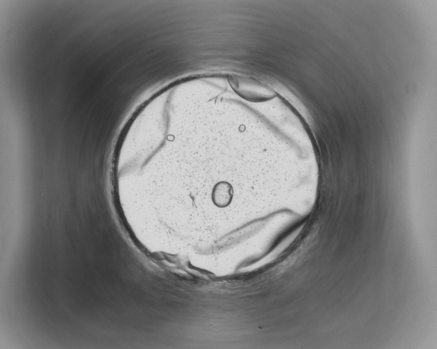 X0000111661093200908281104