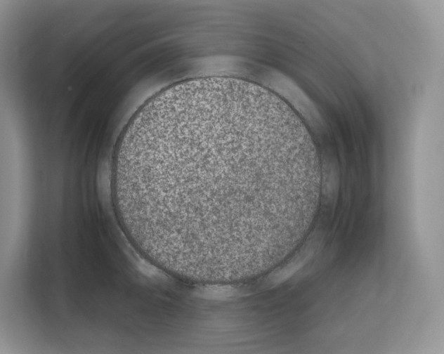 X0000111661094200908281104