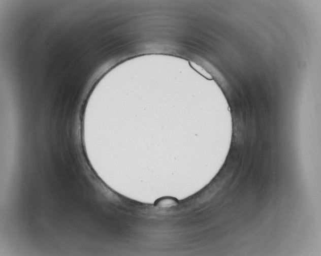 X0000111661096200908281104