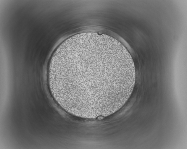 X0000111661099200908281104