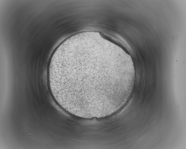 X0000111661100200908281104