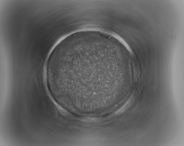 X0000111661101200908281104