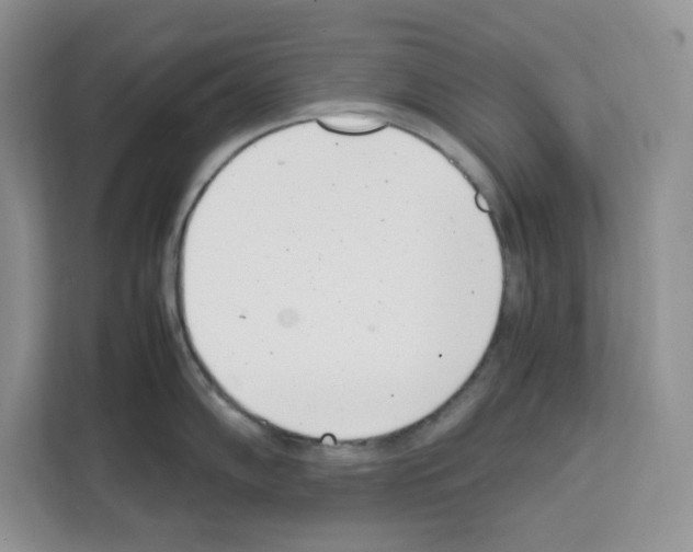 X0000111661102200908281104