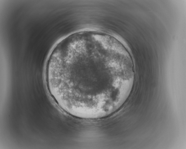 X0000111661104200908281104