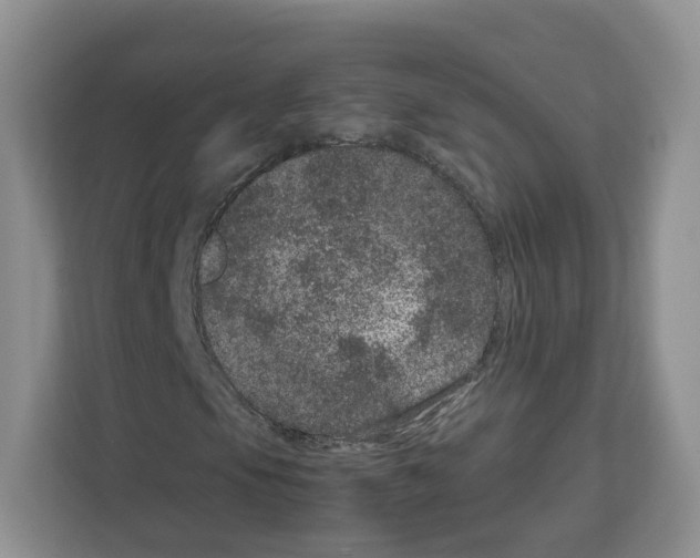 X0000111661105200908281104