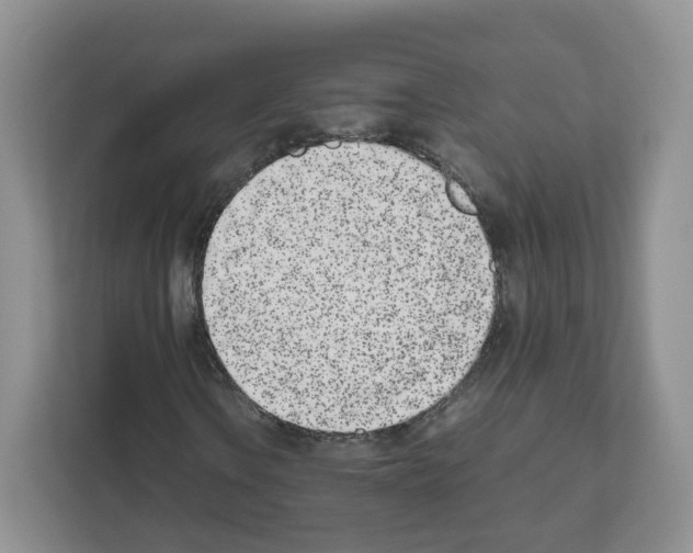 X0000111661106200908281104