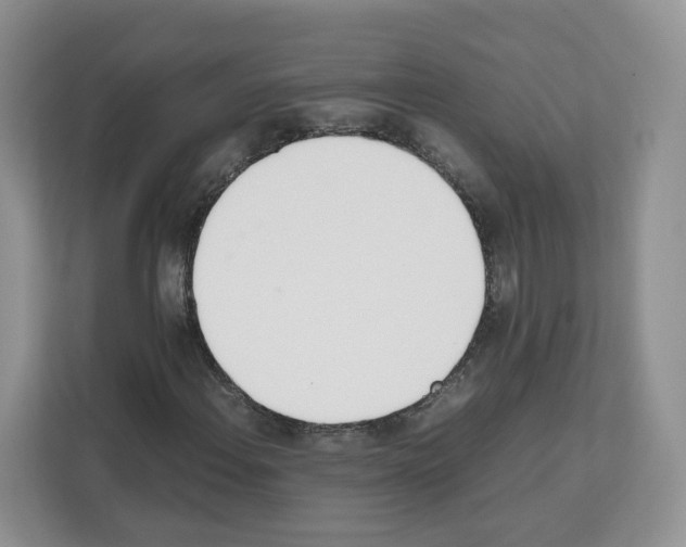 X0000111661108200908281104