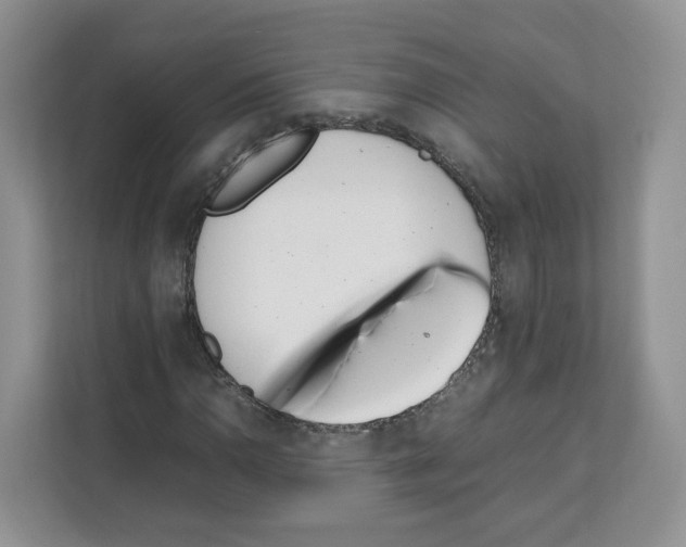 X0000111661110200908281104