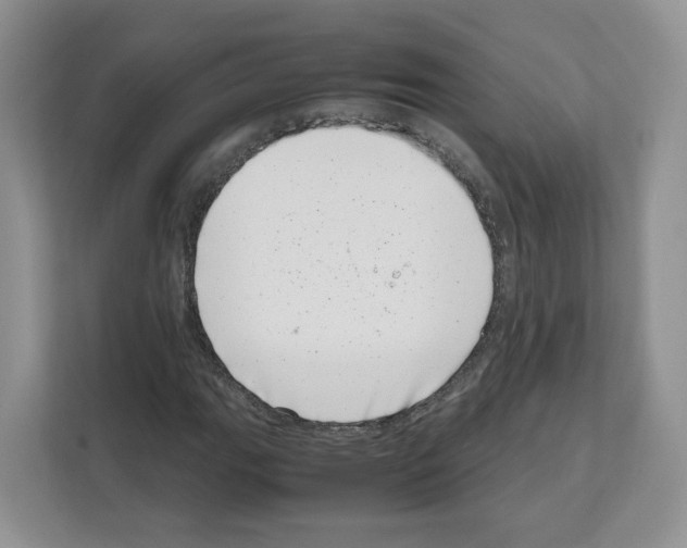 X0000111661111200908281104