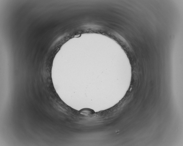 X0000111661112200908281104