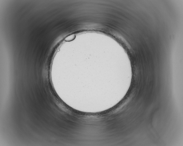 X0000111661114200908281104