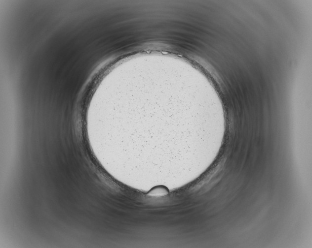 X0000111661115200908281104