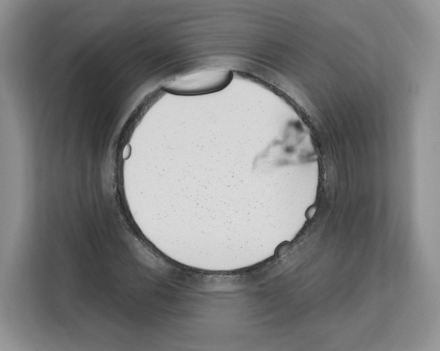 X0000111661116200908281104