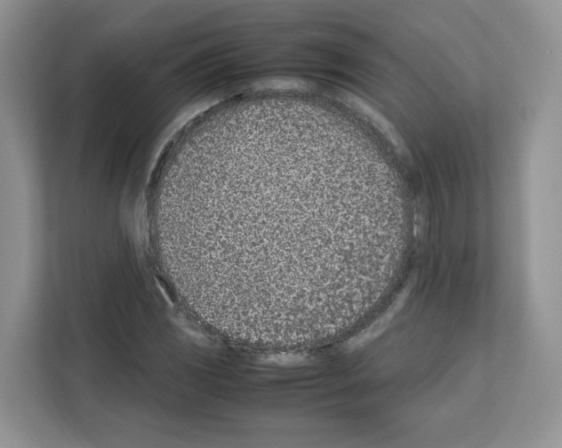 X0000111661117200908281104