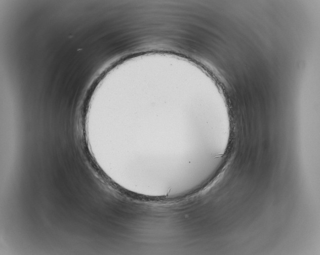 X0000111661118200908281104