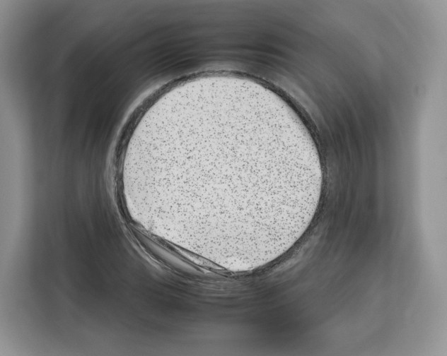 X0000111661119200908281104