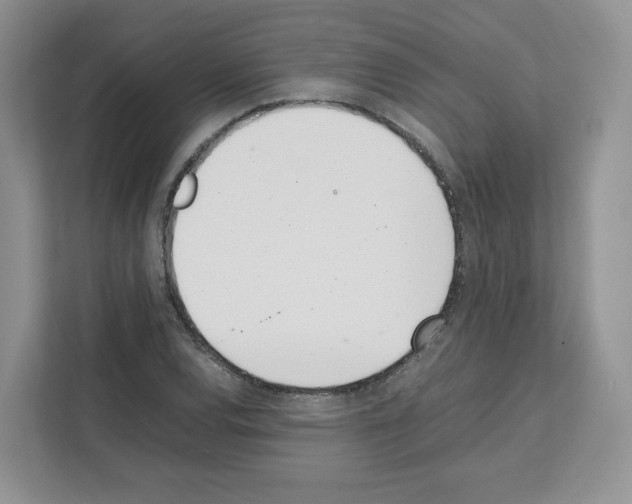 X0000111661120200908281104