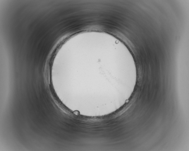 X0000111661123200908281104