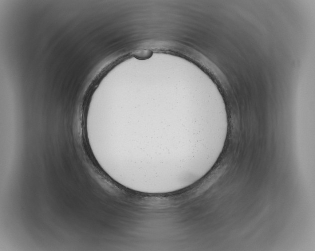 X0000111661124200908281104