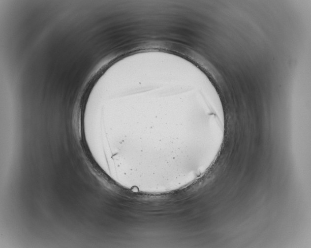 X0000111661127200908281104