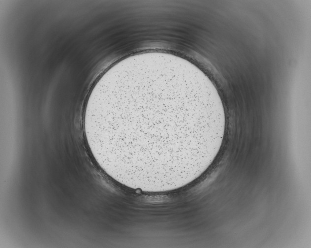 X0000111661129200908281104