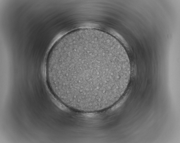 X0000111661130200908281104