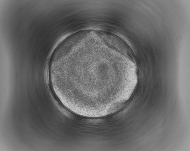 X0000111661131200908281104