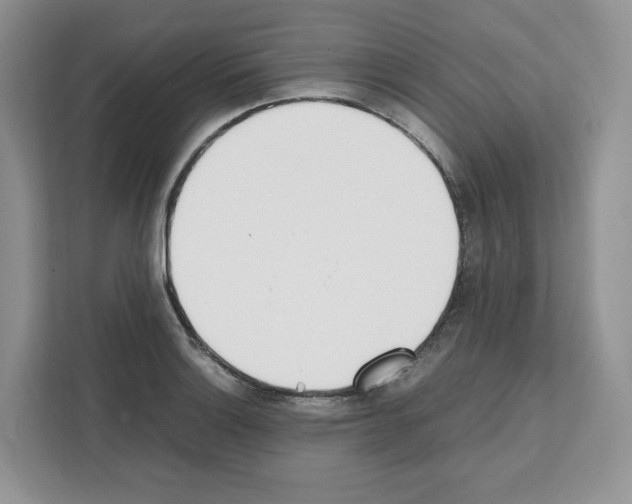 X0000111661132200908281104