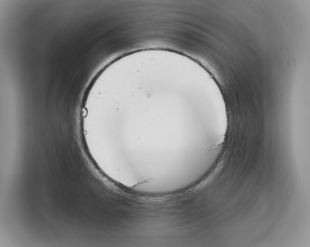 X0000111661134200908281104