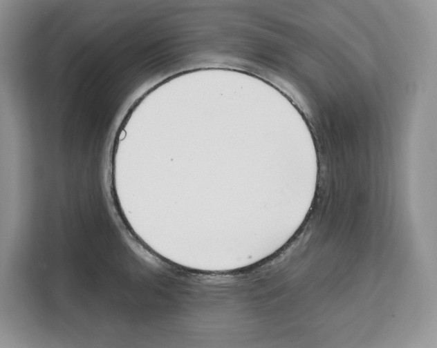 X0000111661136200908281104