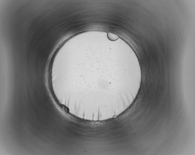 X0000111661139200908281104