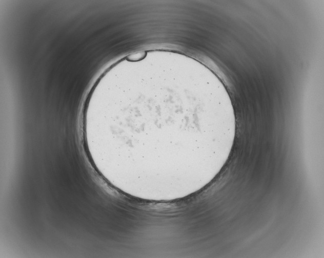 X0000111661140200908281104