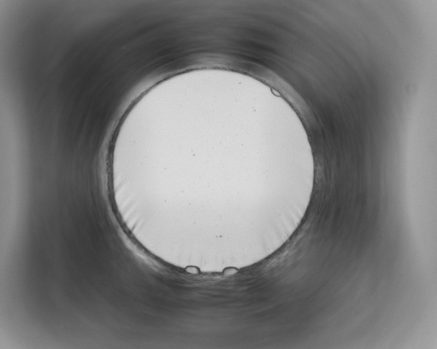 X0000111661143200908281104