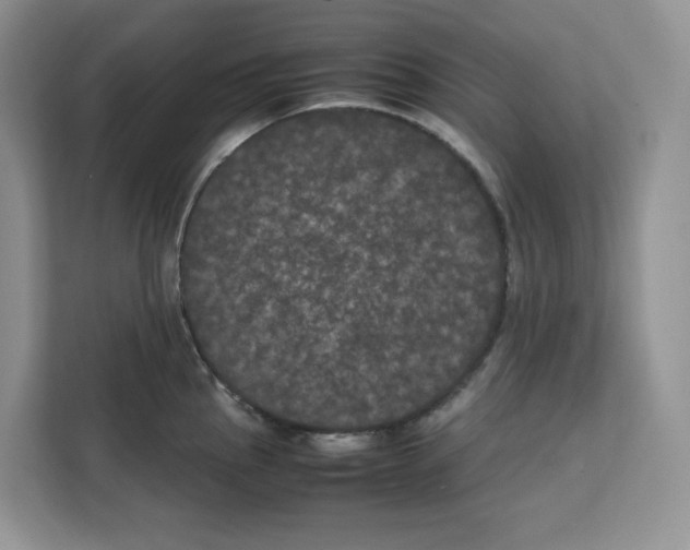 X0000111661145200908281104