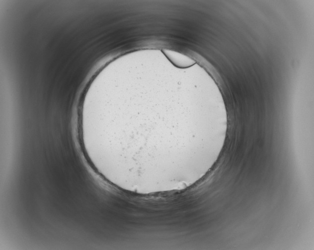 X0000111661147200908281104