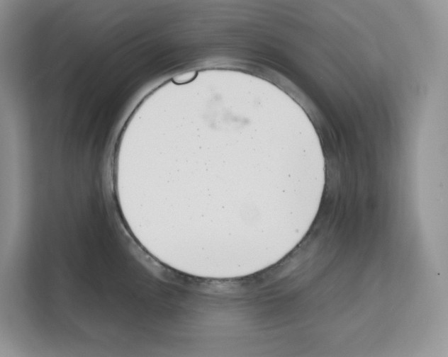 X0000111661148200908281104