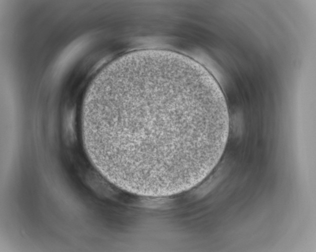 X0000111661150200908281104