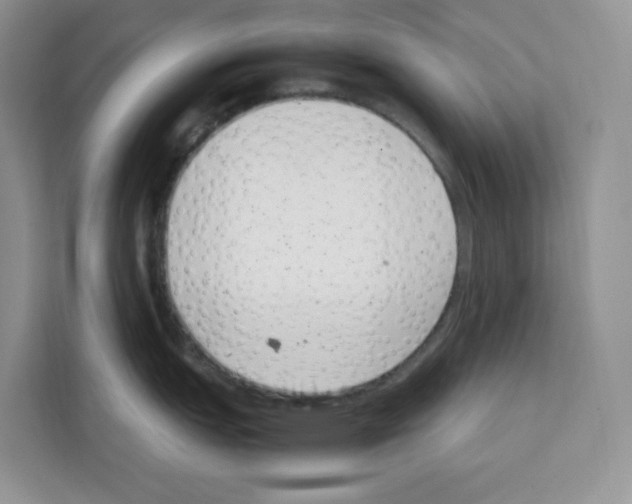 X0000111661151200908281104