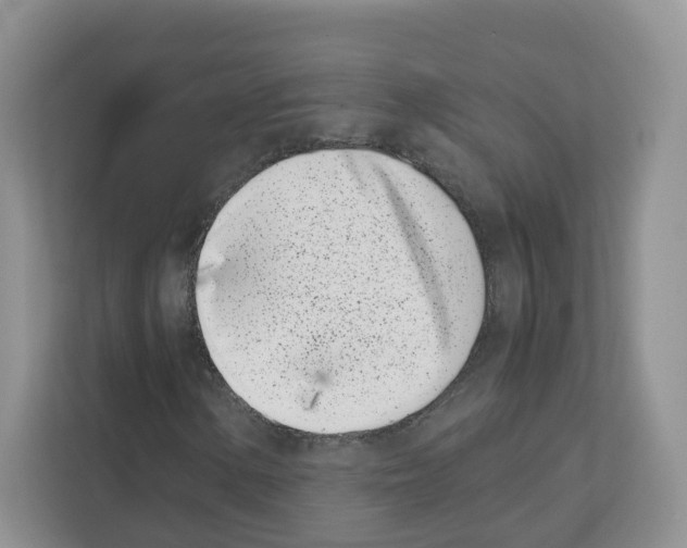 X0000111661154200908281104